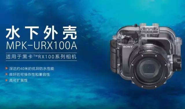 相机是个很好的朋友,相机是我的伴侣