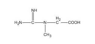 初级健身需要喝蛋白粉吗,初级健身有必要用肌酸么