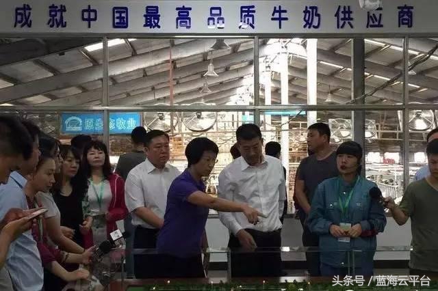 国产最顶级的奶粉,最高端的国产奶粉