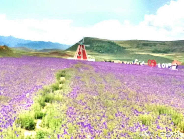 湟中区乡村旅游发展概况,青海湟中县上五庄镇乡村旅游