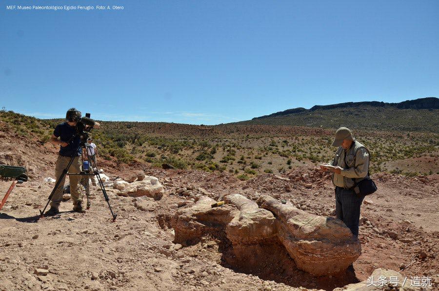 最大的一只恐龙化石是什么种类的,中国最大的恐龙化石博物馆在哪里