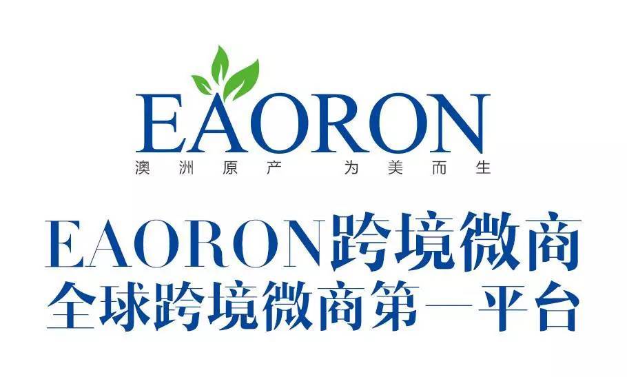 十万人团队,eaoron新微商