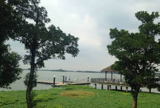 太美太爽太震撼!再也不想回家了!