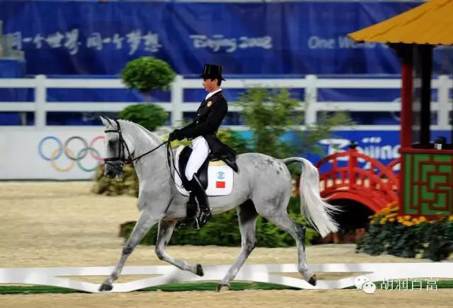 华天——没有高颜值的学霸不是好运动员