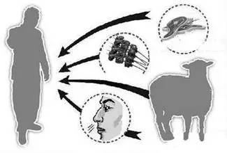 布鲁氏菌病检疫的常用方法是,布鲁氏菌病诊断金标准是什么