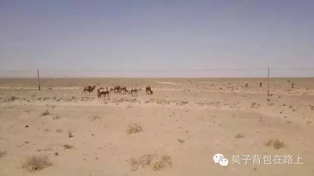 骑行新藏线阿里地区,骑行阿里大北线行程详细攻略