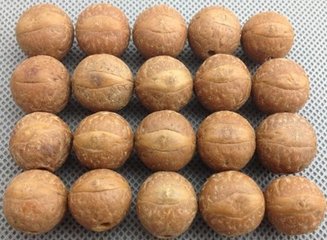 菩提是智慧的象征,菩提智慧觉悟