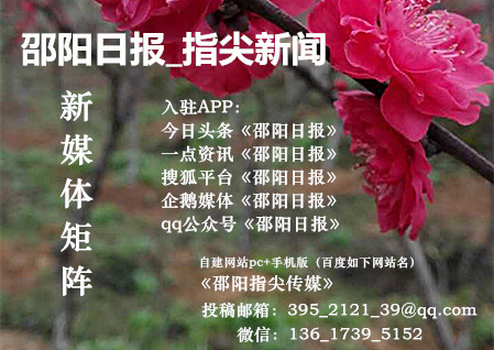 邵阳铁腕整治,邵阳市严打是哪一年