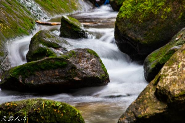 漫游武夷山之自驾游,漫游武夷记