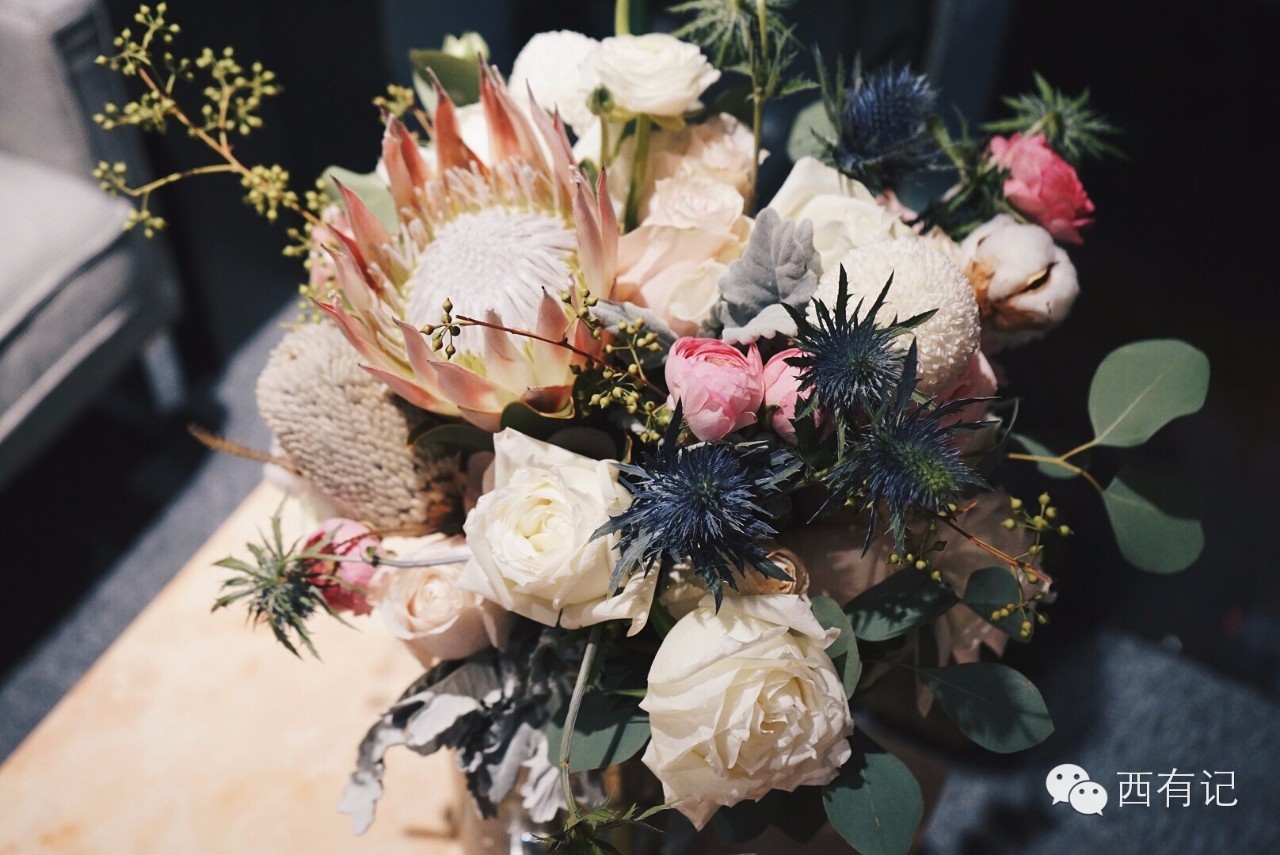 尊严着的虚荣：时尚女编辑的幕后生活