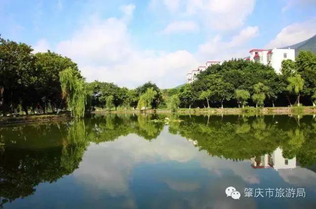 广东肇庆景色很好的大学,肇庆学院风景湖