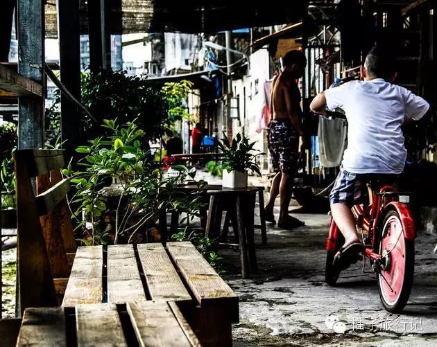 厦门攻略详细版,园博园一日游攻略厦门门票