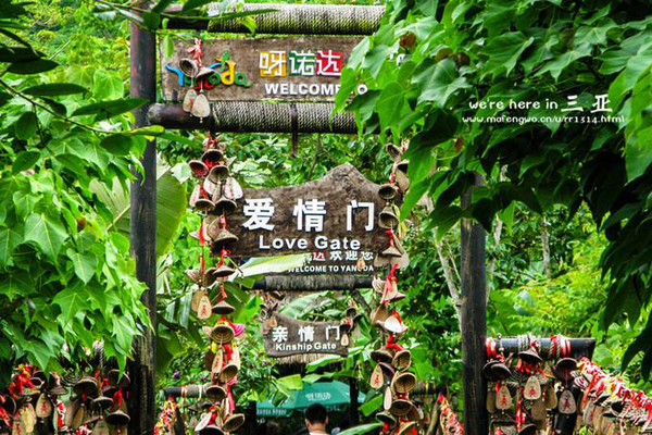 三亚五天四晚旅行团爱上海岛,三亚3天两晚够不够