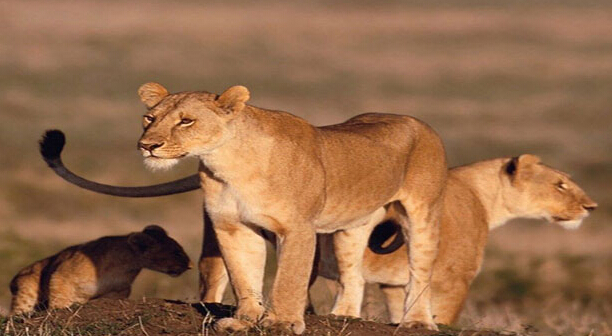 寒假北京亲子游,北京免费亲子游景点