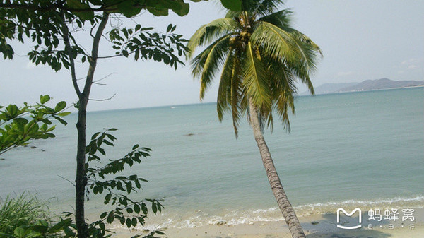 冬季的海南浪漫的三亚之美,冬季畅游三亚感受海南的椰风海韵