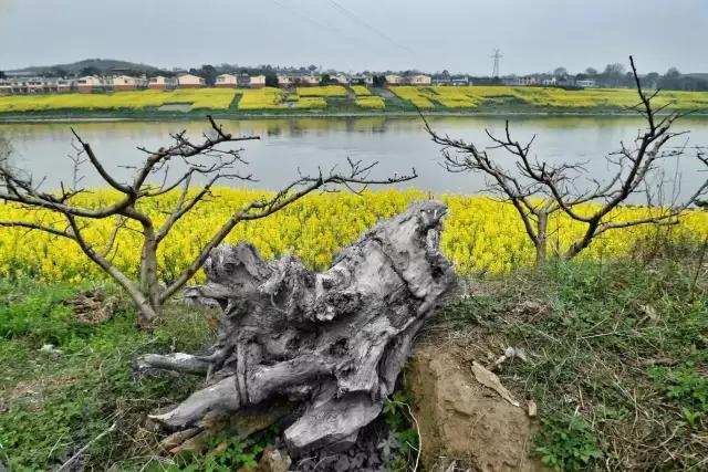 CMPA|2016年3月7日编辑推荐作品