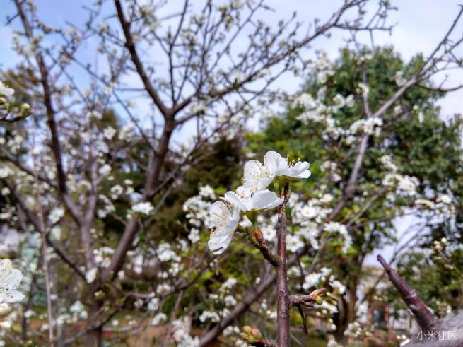 红米note3的拍照方法,红米note3不亮