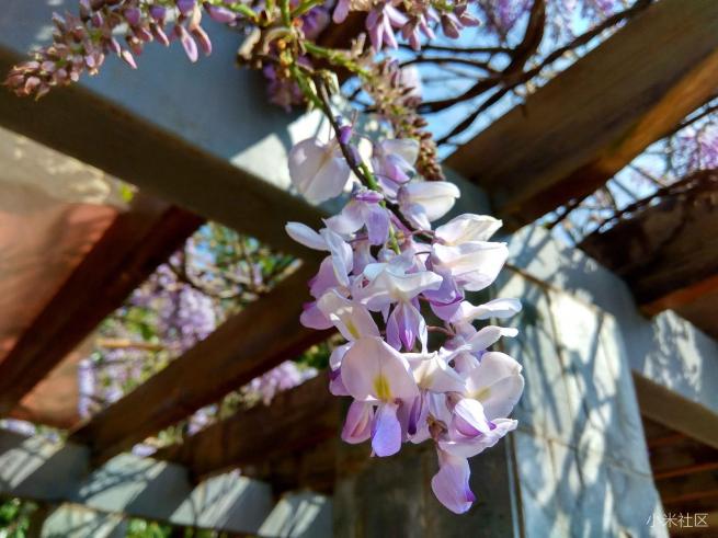 红米note3的拍照方法,红米note3不亮