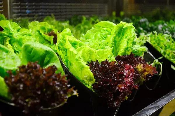 厦门海鲜姿造优惠,厦门悦鼎会海鲜自助