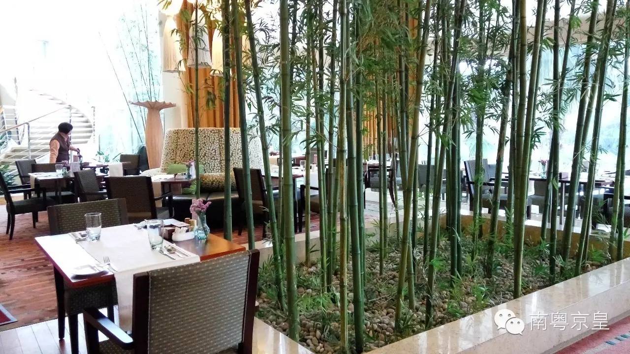 自由自在休闲购物——南沙“自邮行”