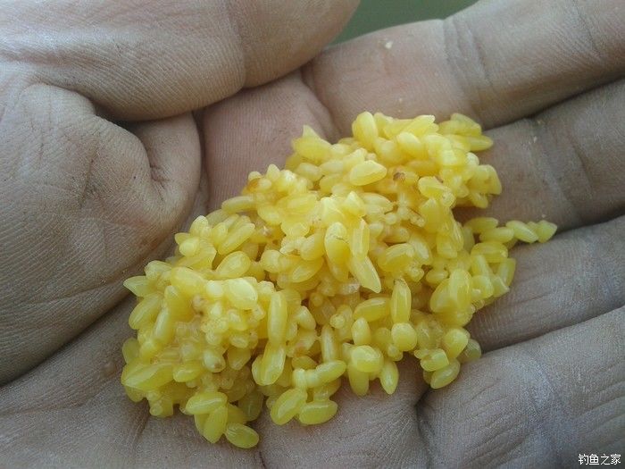 远征远征17,远征17-20