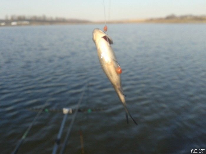 远征远征17,远征17-20