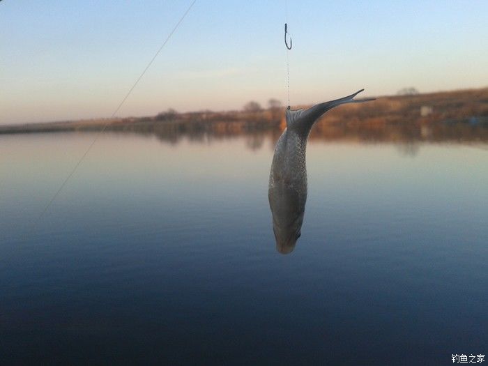 远征远征17,远征17-20