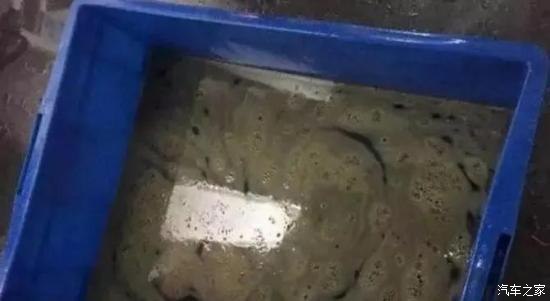 变速箱油和水箱串油了怎么维修,变速箱油从水箱漏出来怎么办