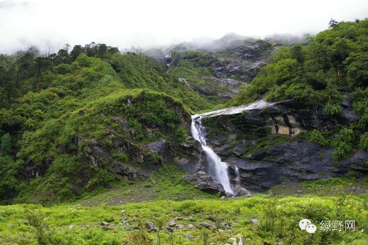 醉美西藏林芝视频,醉美林芝完整版