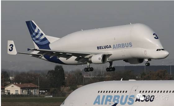 变异变形飞机,变异飞机鹦鹉