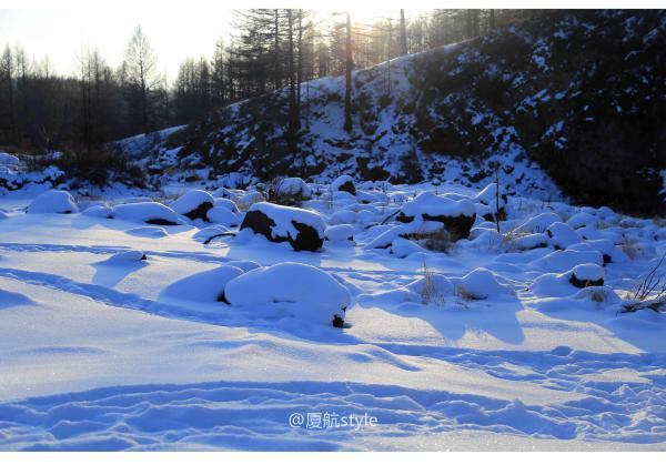 牧马少年歌曲完整版,牧马少年草原