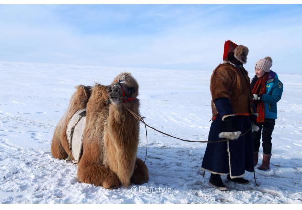 牧马少年歌曲完整版,牧马少年草原