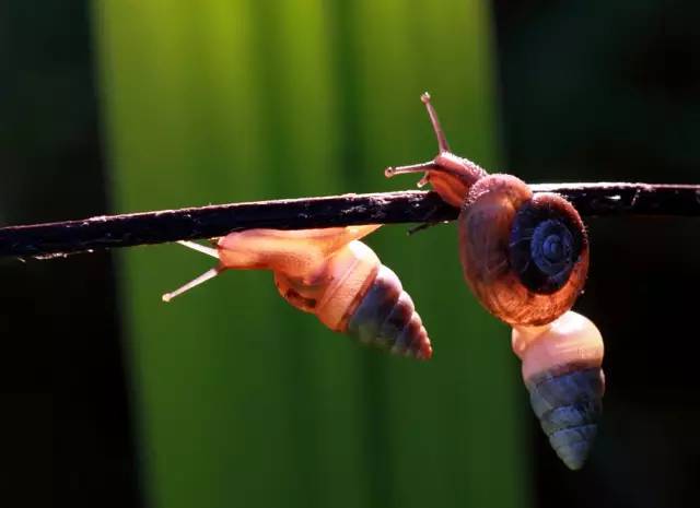 今日惊蛰节气,今日惊蛰的习俗和讲究