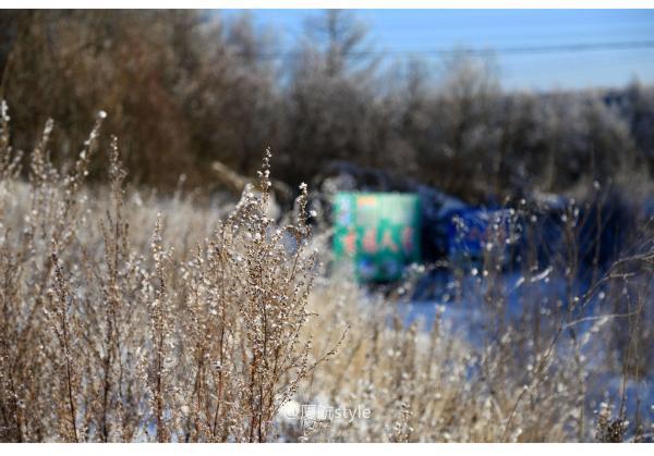 牧马少年歌曲完整版,牧马少年草原