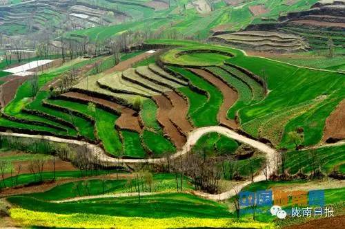 新闻资讯我县春耕春播热火朝天,春耕忙新闻