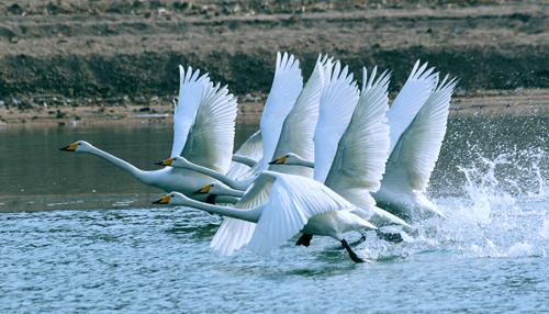 满分作文议论文700字以上,高中优秀作文满分范文议论文