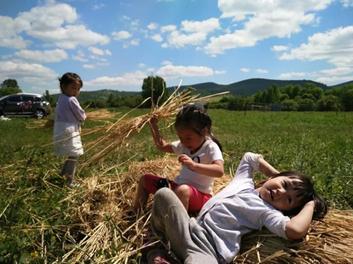 若尔盖草原房车营地,草原深处的房车营地