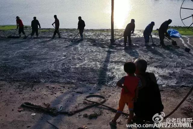 大连最美的海边渔村,大连最美渔村是哪里