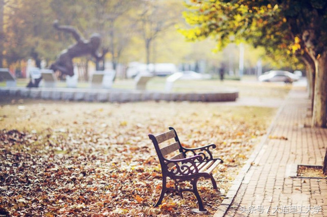 新生宝宝、家长大大们，这有一列通往大工的直达车！