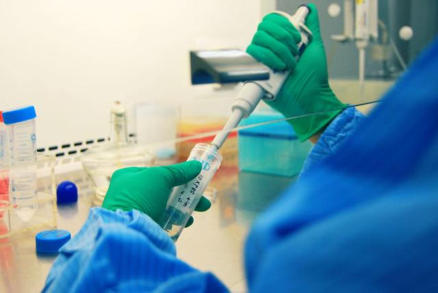 基因技术治疗癌症最新消息,基因治疗世界难题