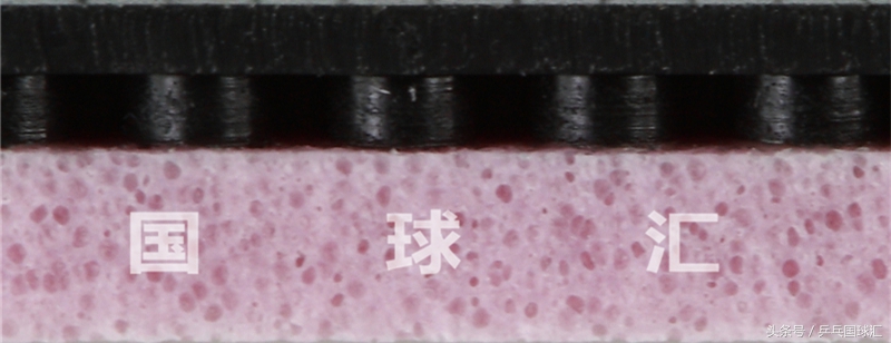 尼塔谷最经典的套胶,终于针对40+出新款了!-国球汇