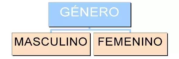 西班牙语阴阳性怎么用,西班牙语阴阳规则