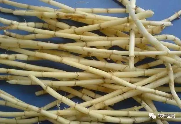 张镜人治胃病方子,国医大师张志远治高血压医案