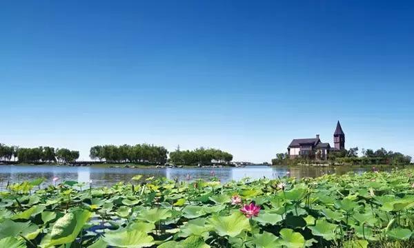 说走就走吧自驾环游,说走就走游遍全国