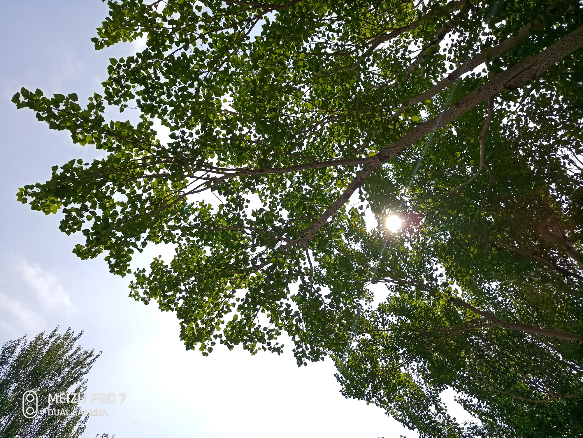 魅族pro7的优缺点,给被黑惨的魅族pro7正名大实话