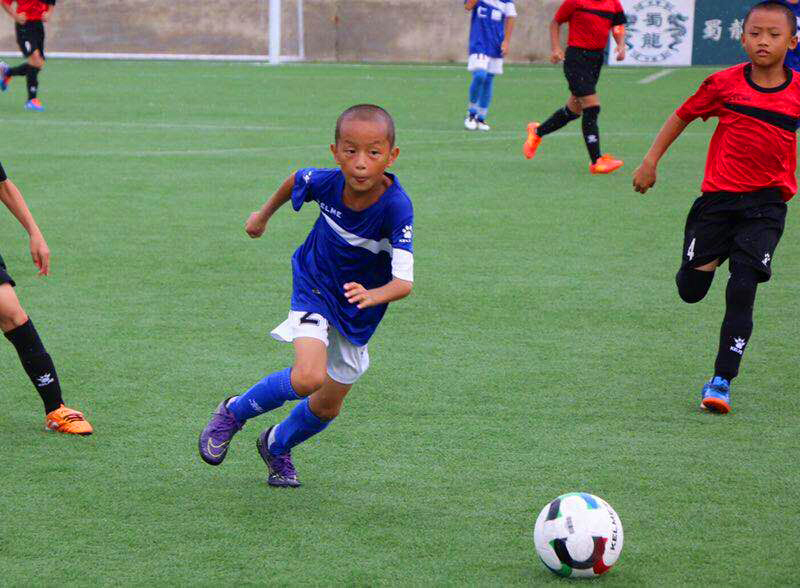 寮犻摦瓒崇悆,鍗楀厖寮犻摦