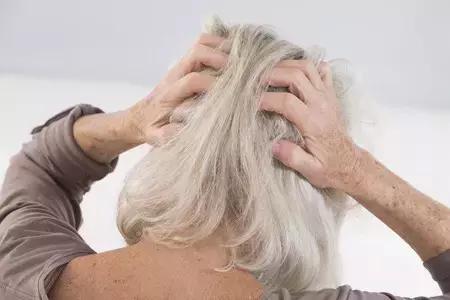 白头发会扯一根长十根吗,白头发真的会拔一根长十根吗