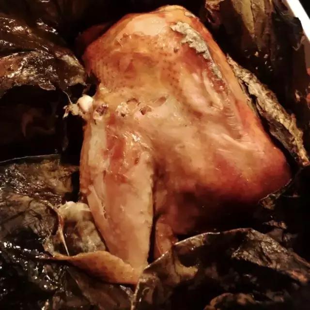 鸡死亡的原因有哪几种,鸡的各种死因及图片