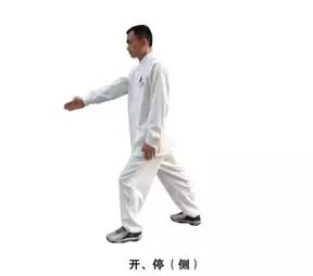 脚斗裁判手势,裁判手势详解视频教程