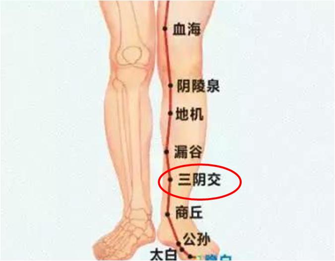 艾灸必须找准穴位吗,男性艾灸减肥最快的穴位